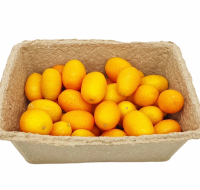 Кумкваты, 250г