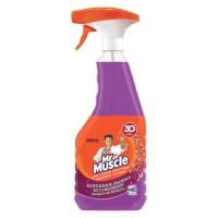 Чистящее средство для стекол Mr.Muscle 530мл, Лаванда, спрей
