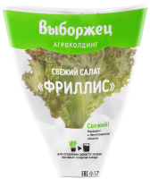 Салат Выборжец Фриллис красный в горшочке, 80г
