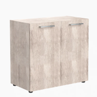 Шкаф низкий Skyland Torr-Z TLC 85.1, дуб каньон, 854х452х833мм, с малыми дверьми, с топом