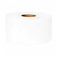 Туалетная бумага Protissue 2 слоя, 170м, белая, С191