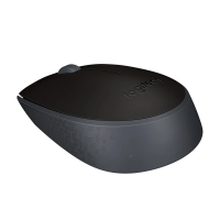 Мышь беспроводная оптическая USB Logitech M171 черная