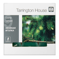Tarrington House Свеча Чайная ароматическая Хвойная иголка, 9шт