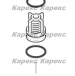 Клапан в/д 3 шт. Karcher, 2.884-873