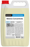 Дезинфицирующий концентрат Pro-Brite Belizna Concentrate 5л, 652-5