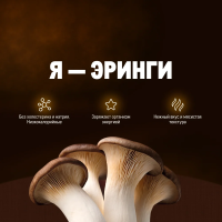 Грибы еринги Артфрут, 200г