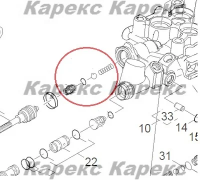 Клапан в сборе HD 7/18 Karcher, 4.481-226